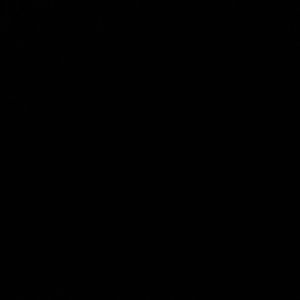 Meet your Posher, Lilly